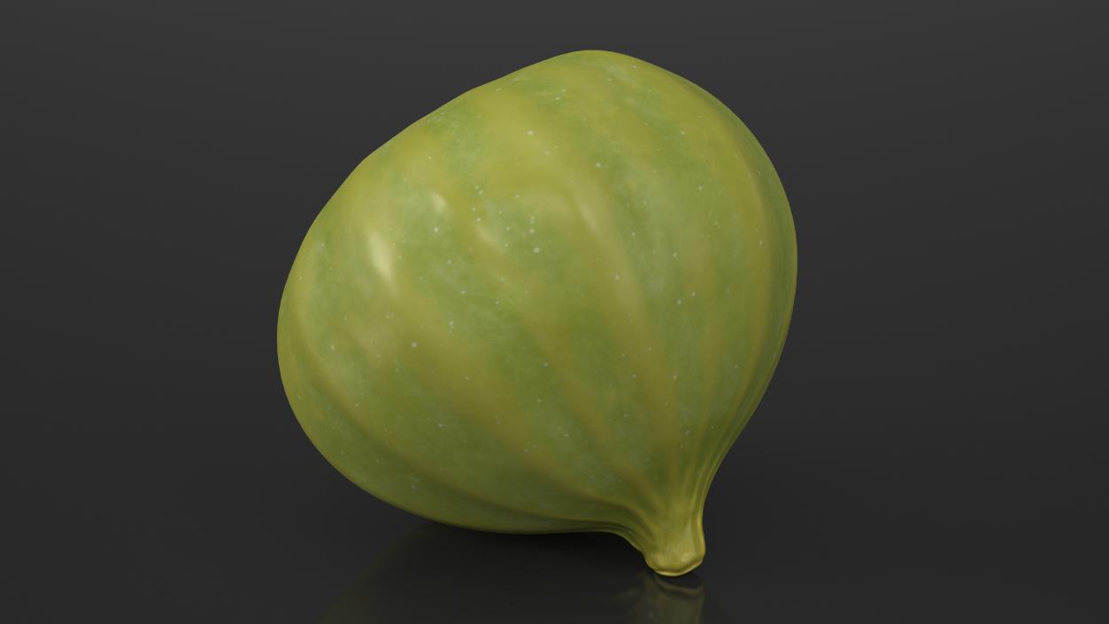 3D model Green Fig Fruit