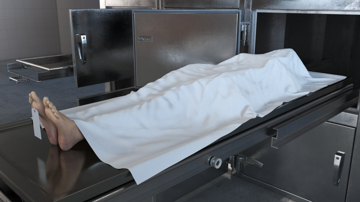 3D Morgue Refrigerator with Covered Female Corpse