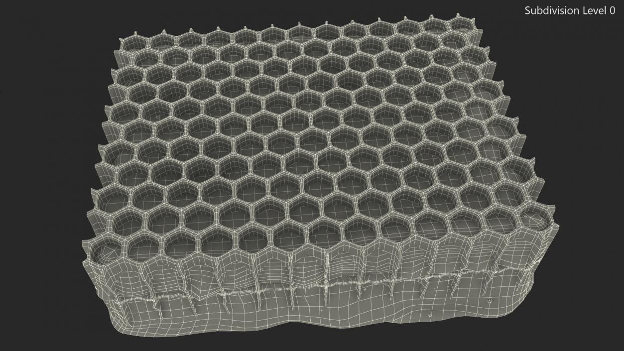 3D Raw Honeycomb model