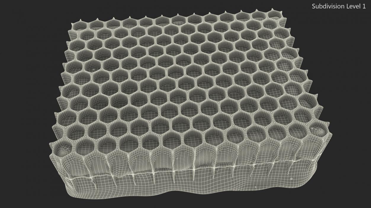 3D Raw Honeycomb model