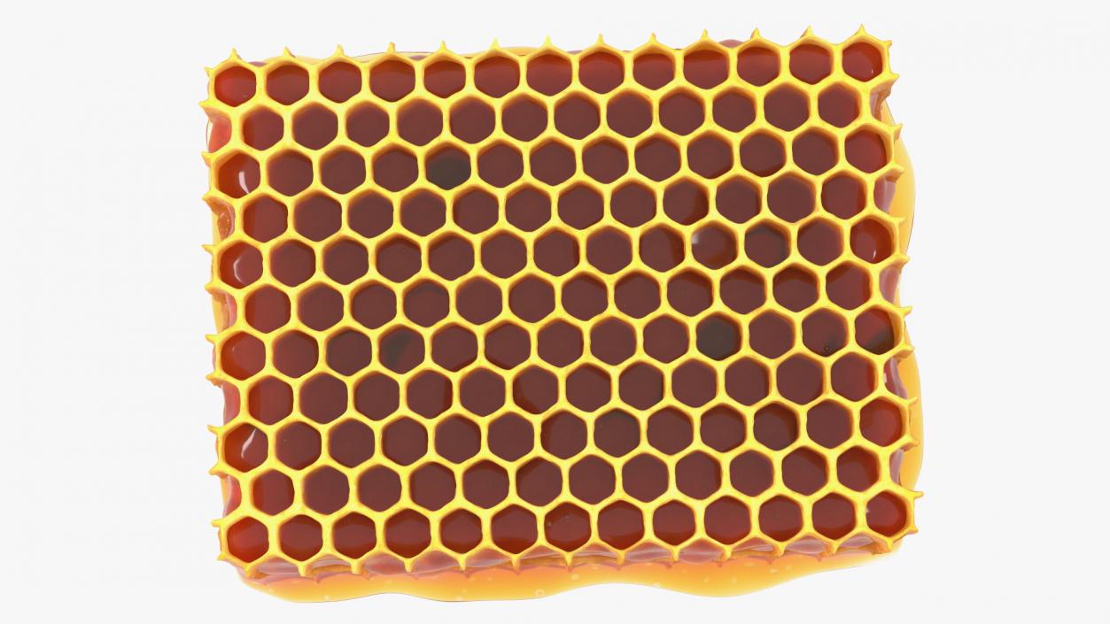 3D Raw Honeycomb model