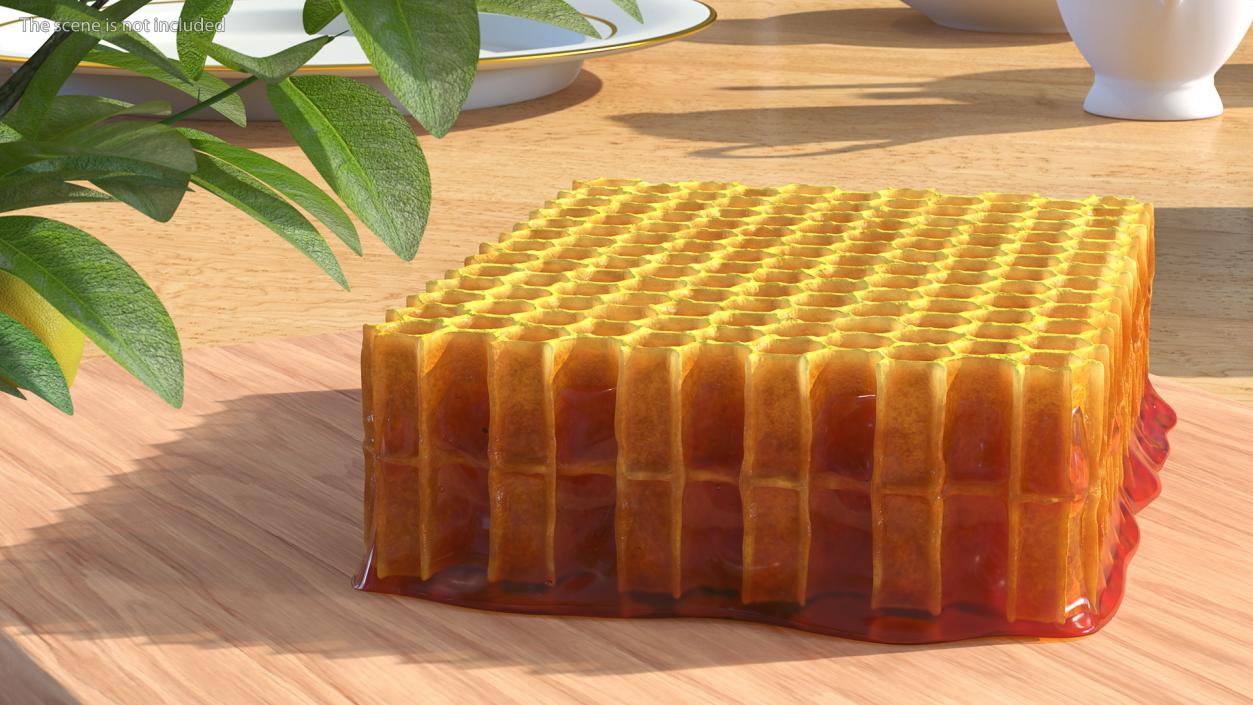 3D Raw Honeycomb model