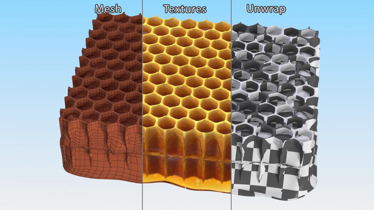 3D Raw Honeycomb model