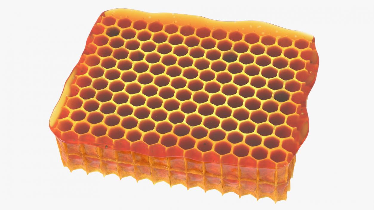 3D Raw Honeycomb model