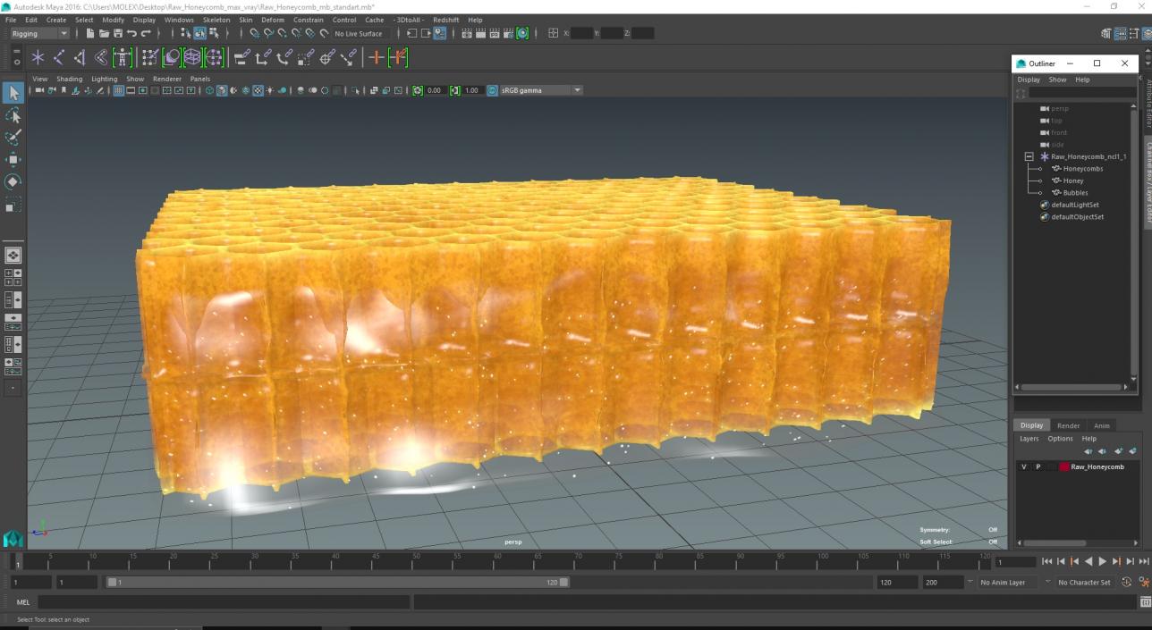 3D Raw Honeycomb model