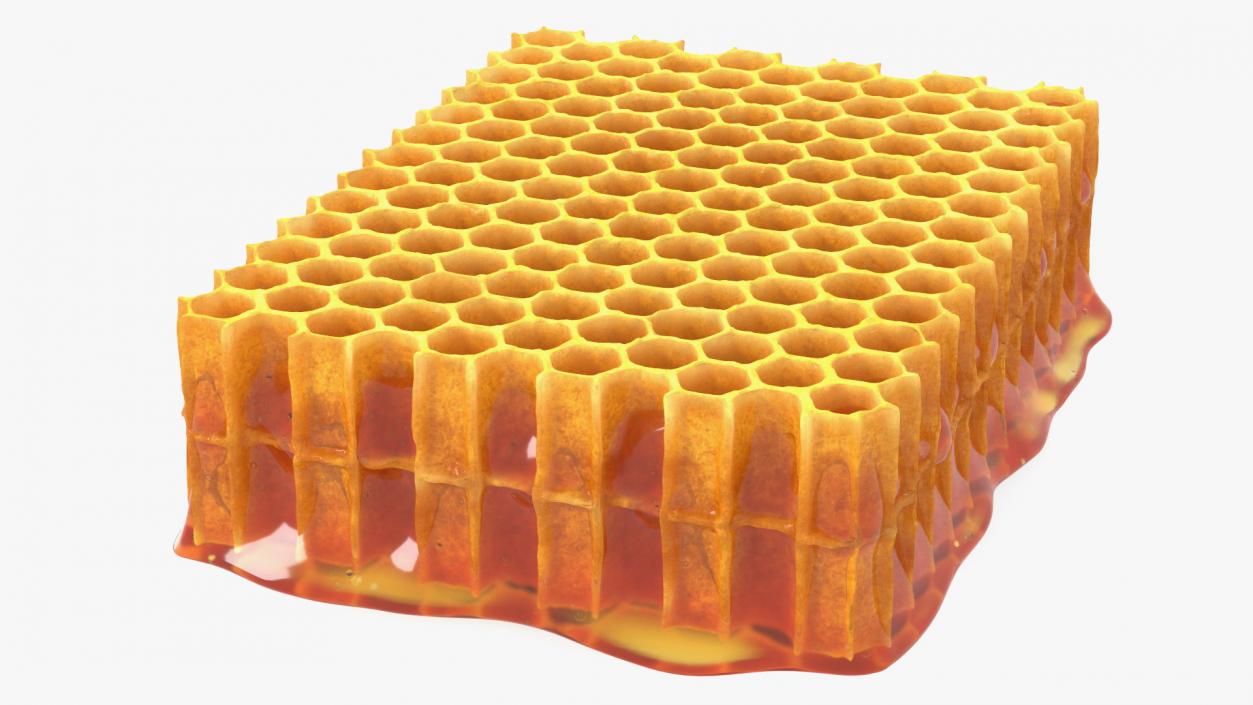 3D Raw Honeycomb model