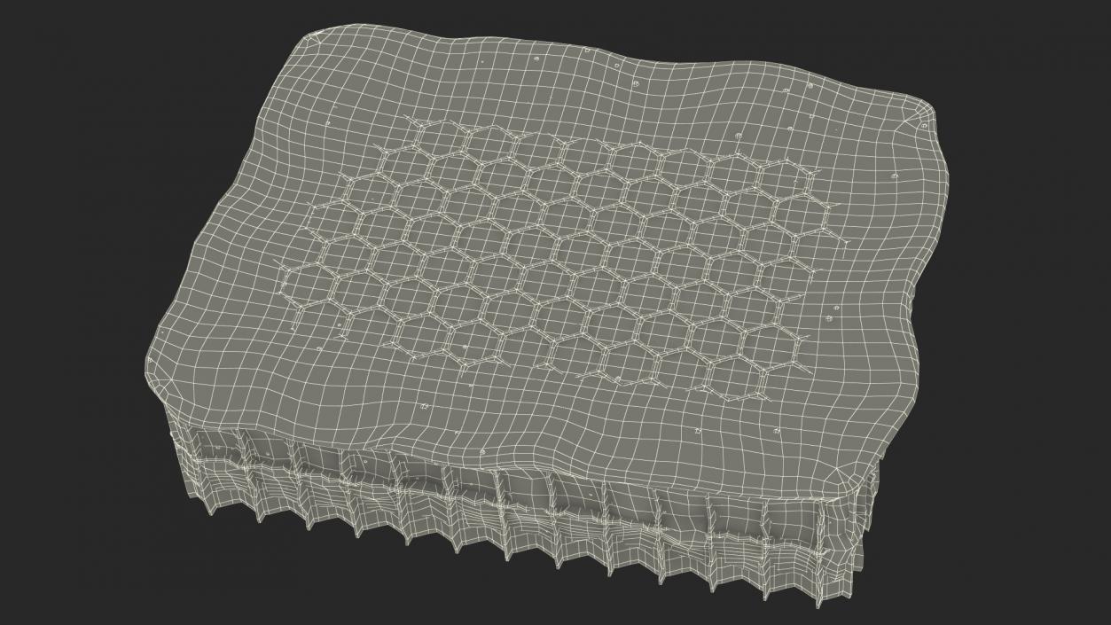 3D Raw Honeycomb model