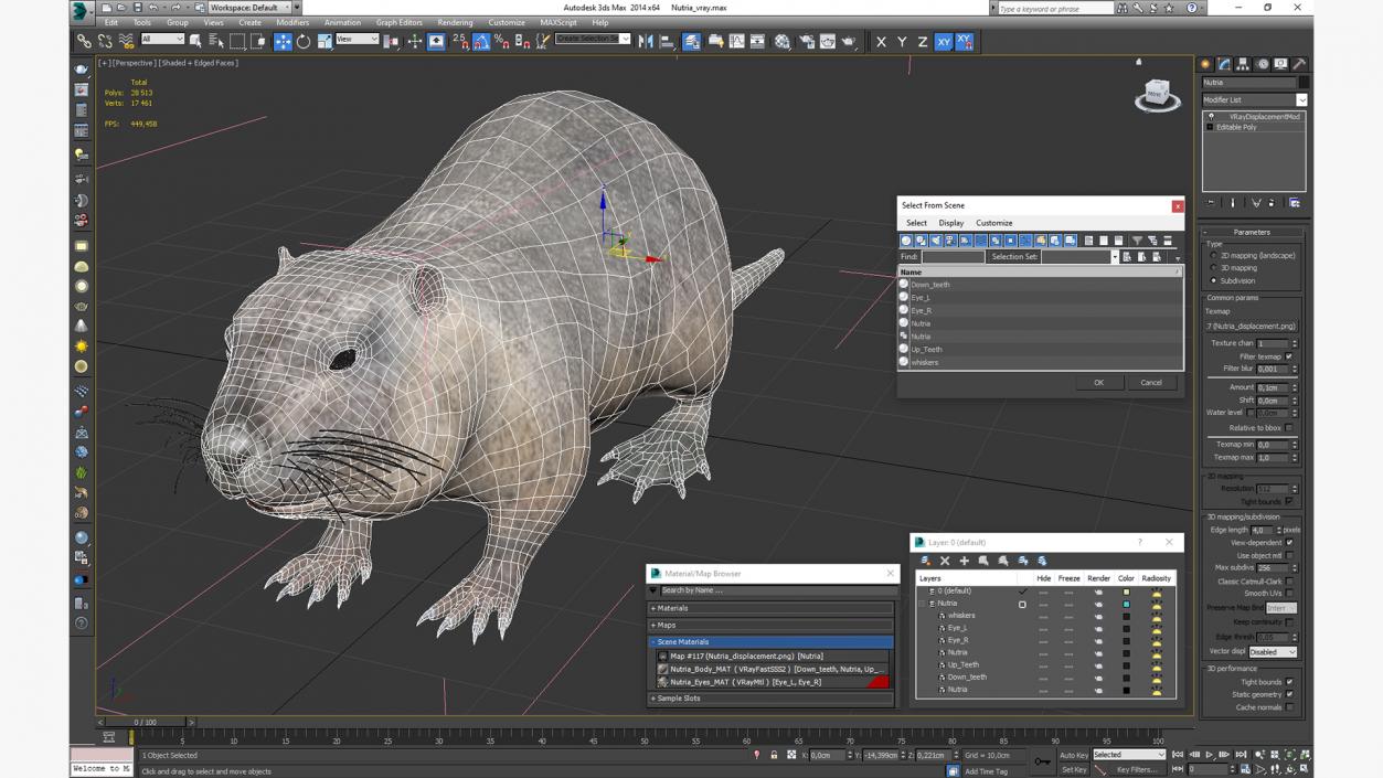 3D model Nutria