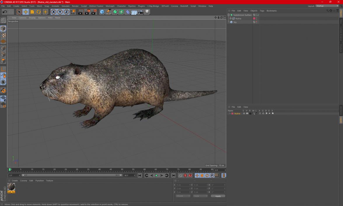 3D model Nutria