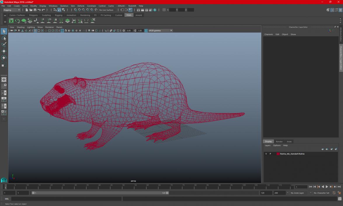 3D model Nutria