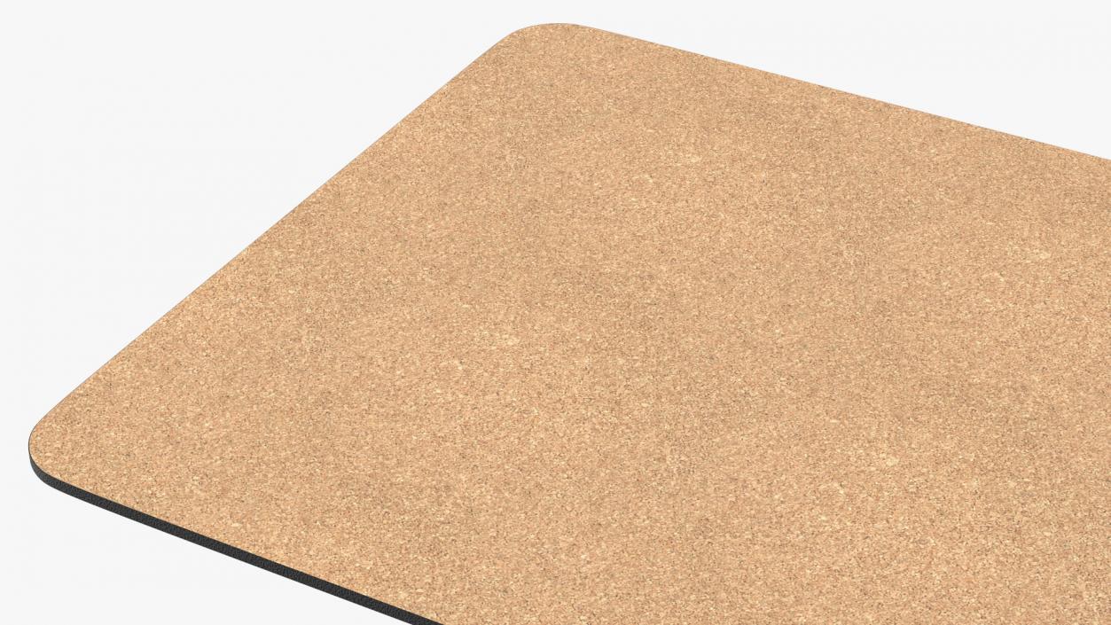 3D model Yoga Mat Unwrap Cork