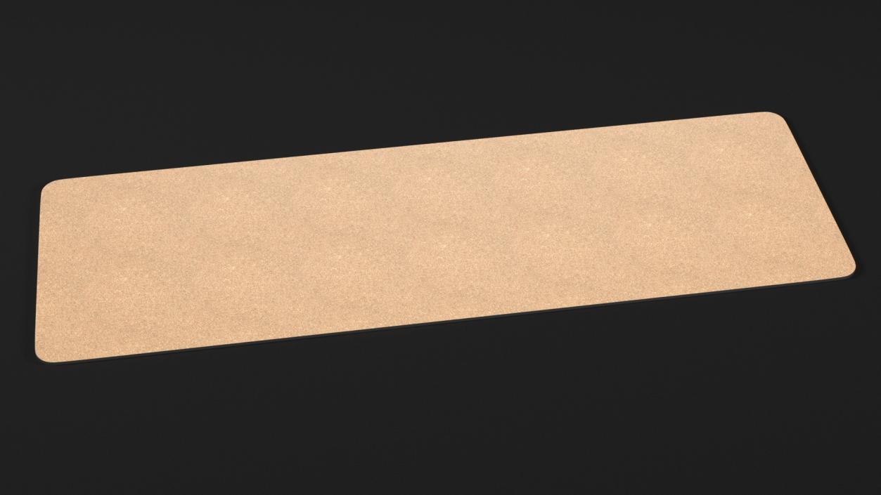 3D model Yoga Mat Unwrap Cork