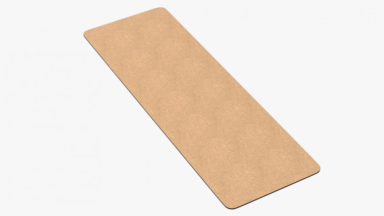 3D model Yoga Mat Unwrap Cork