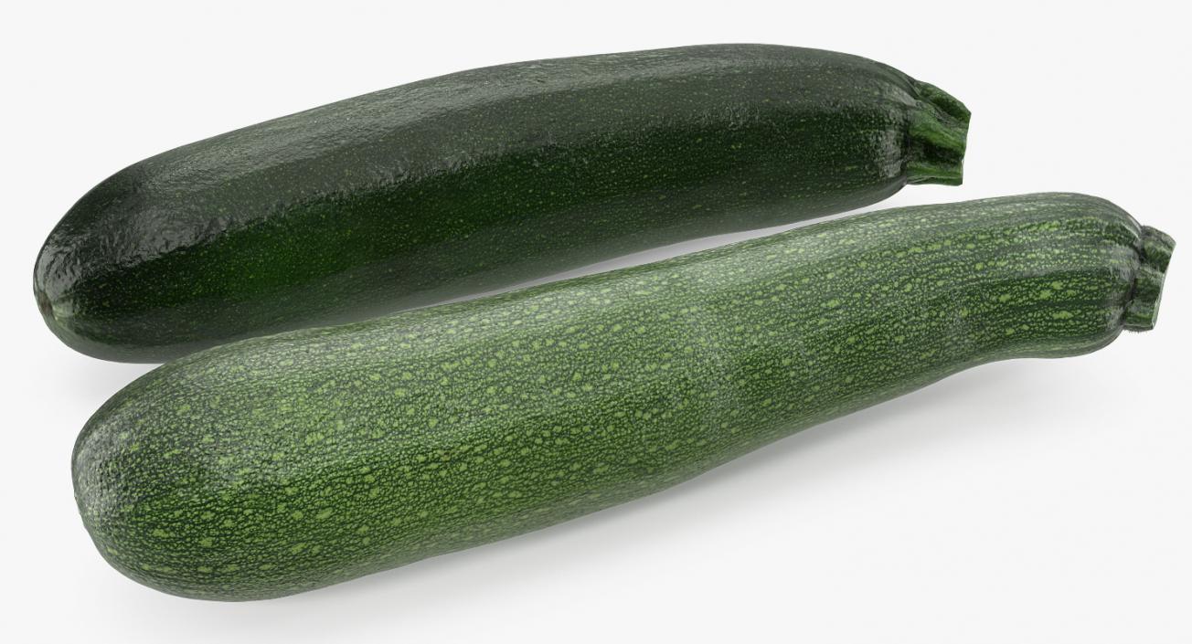 Zucchini Vegetable Collection 3D model