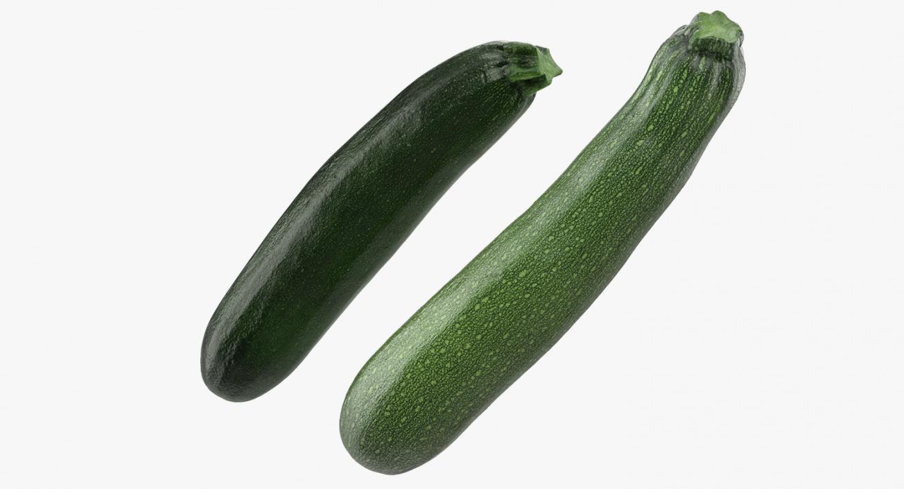 Zucchini Vegetable Collection 3D model