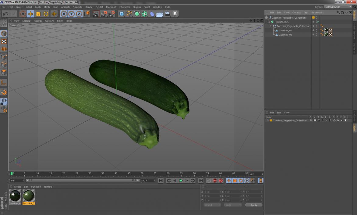 Zucchini Vegetable Collection 3D model