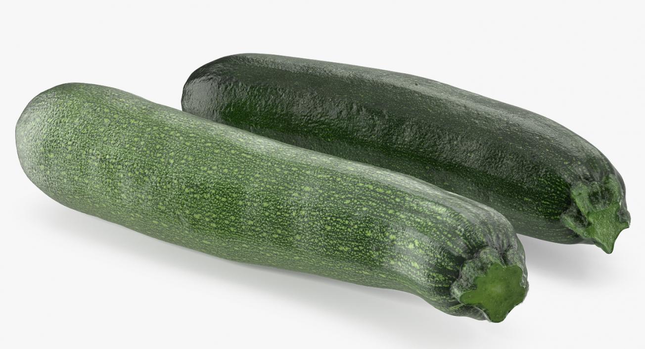 Zucchini Vegetable Collection 3D model