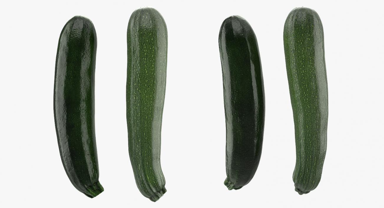 Zucchini Vegetable Collection 3D model