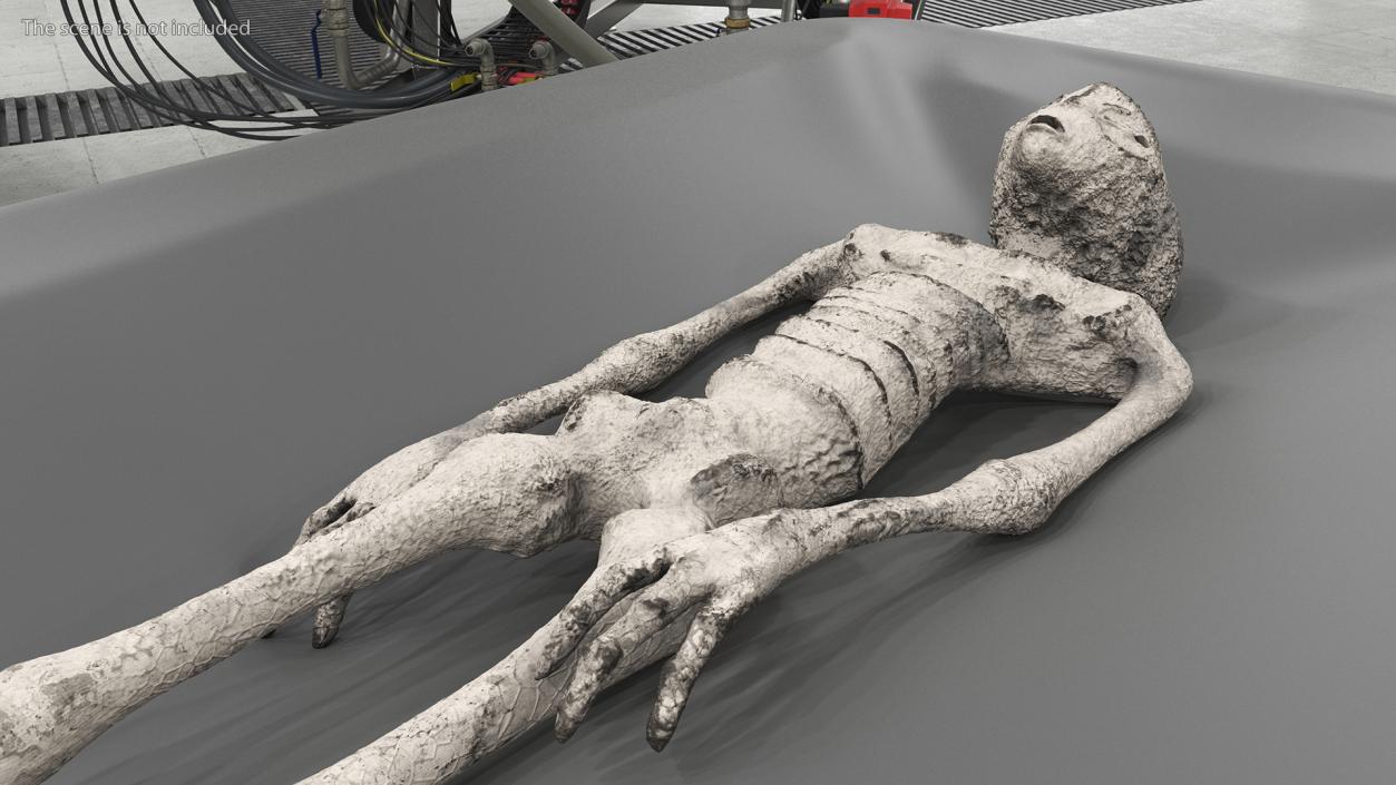 3D Alien Mummy