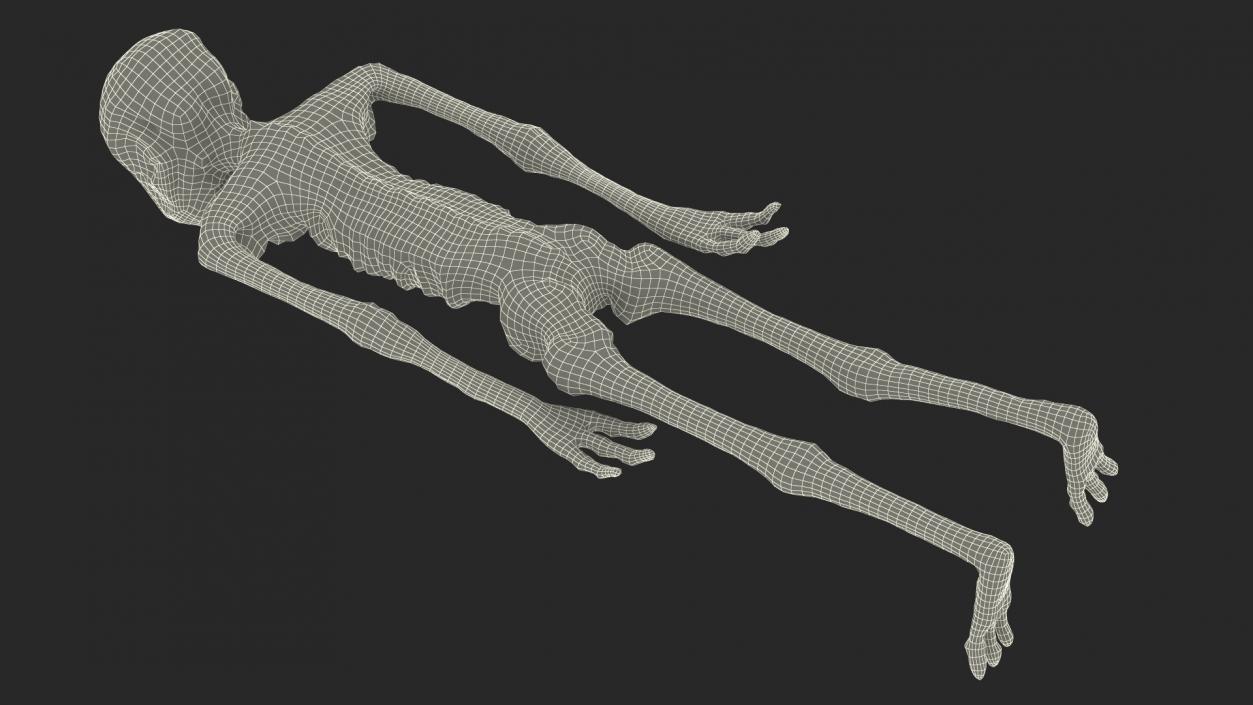 3D Alien Mummy