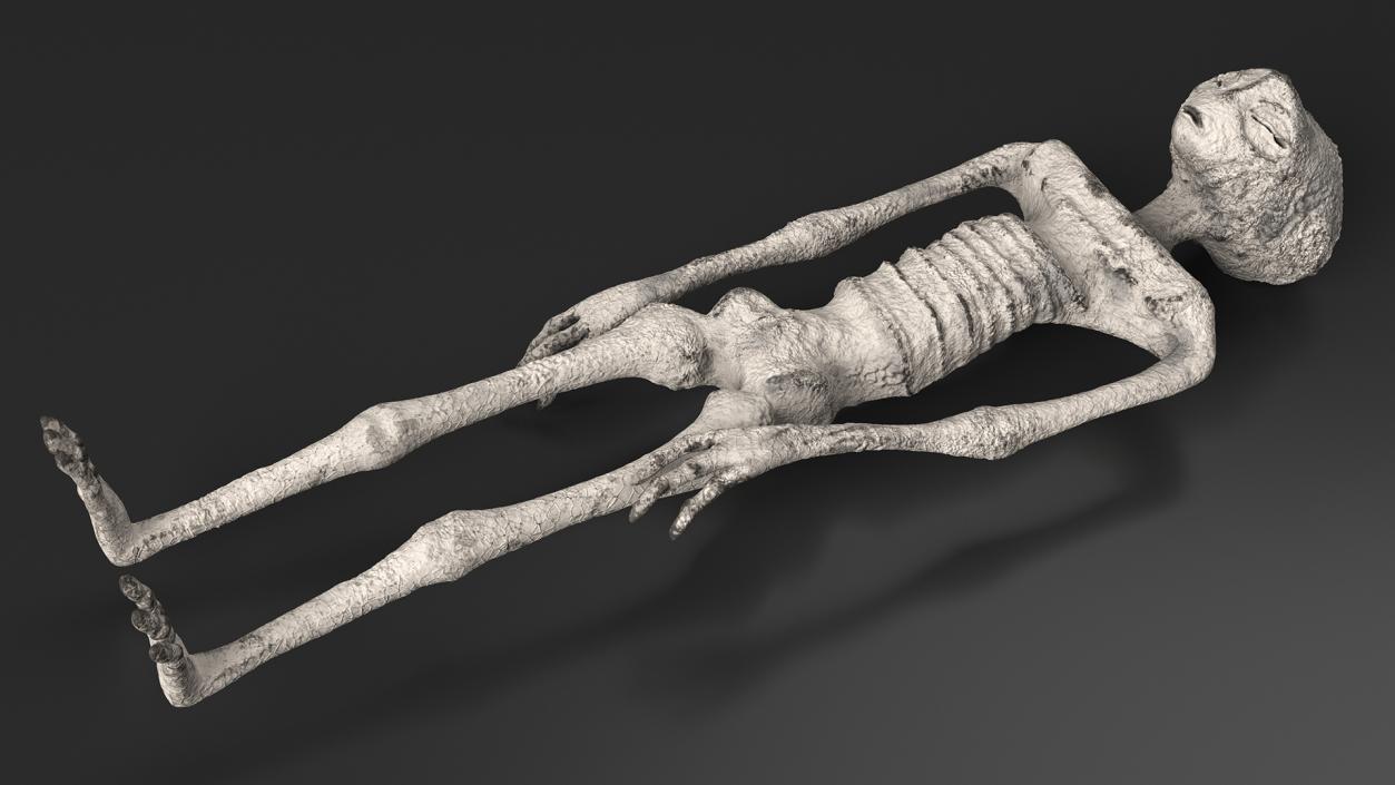 3D Alien Mummy