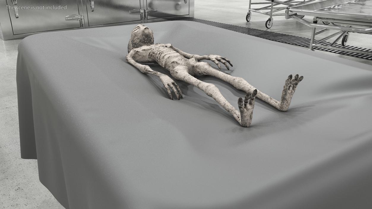 3D Alien Mummy