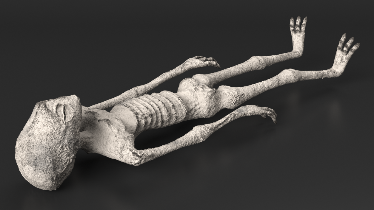 3D Alien Mummy