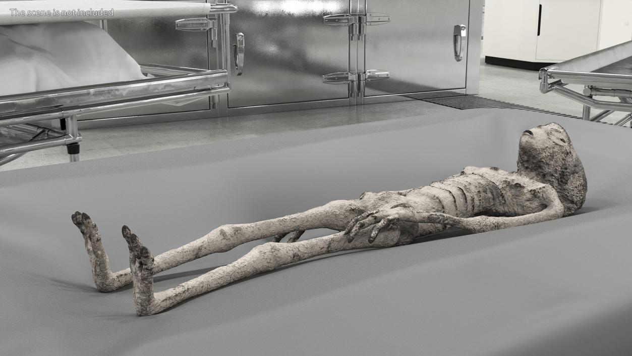 3D Alien Mummy