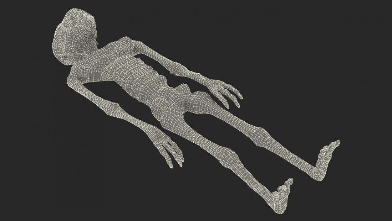 3D Alien Mummy