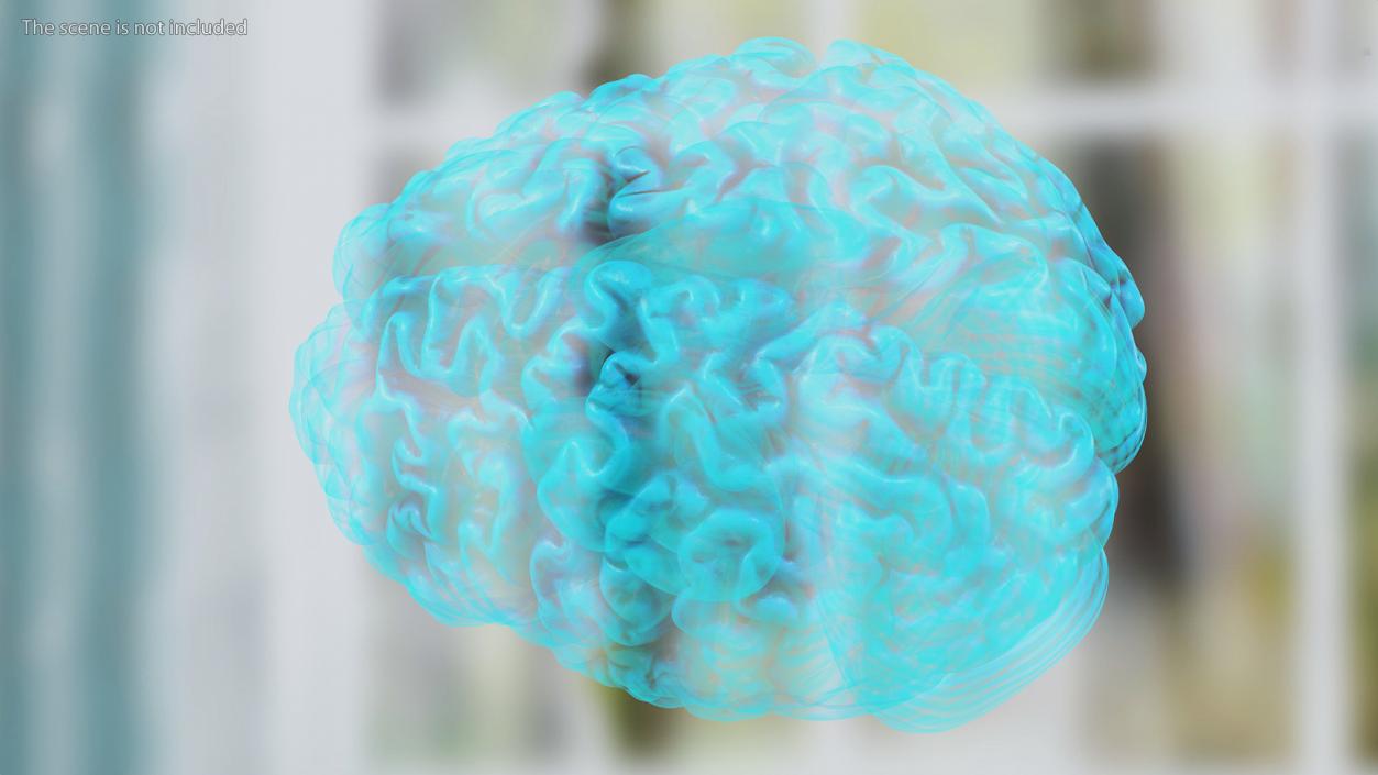 Xray Brain Hologram 3D model