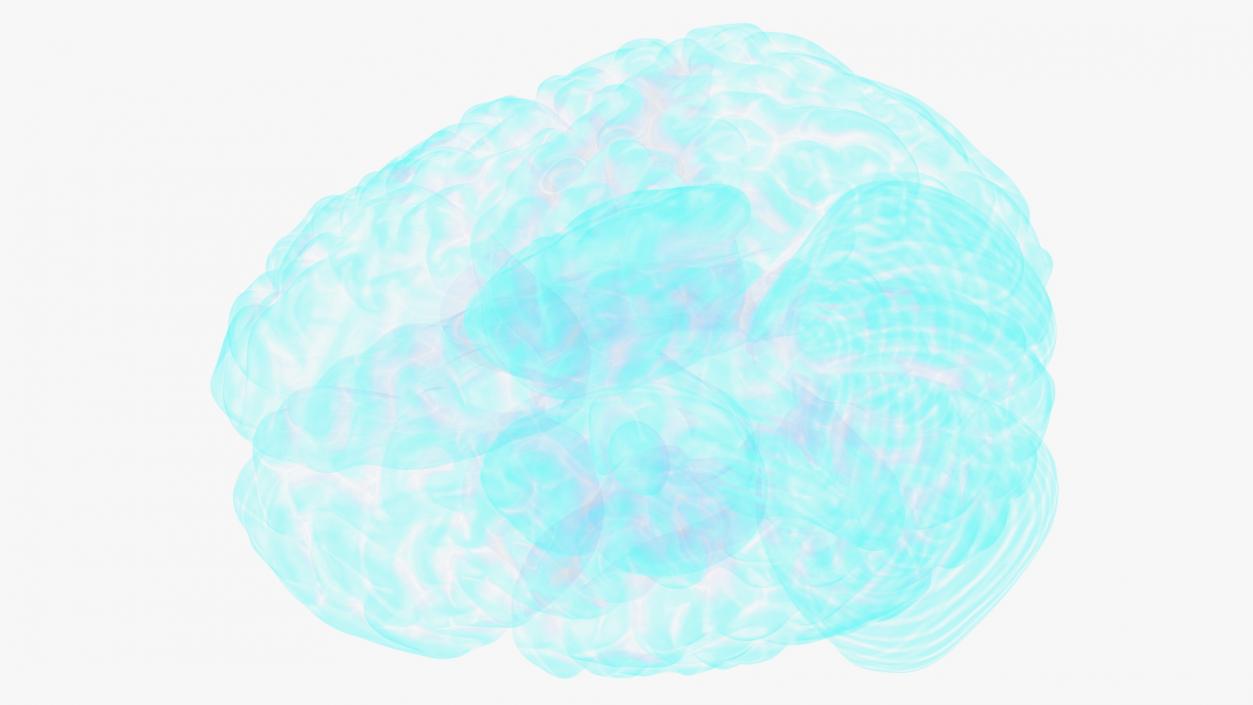 Xray Brain Hologram 3D model