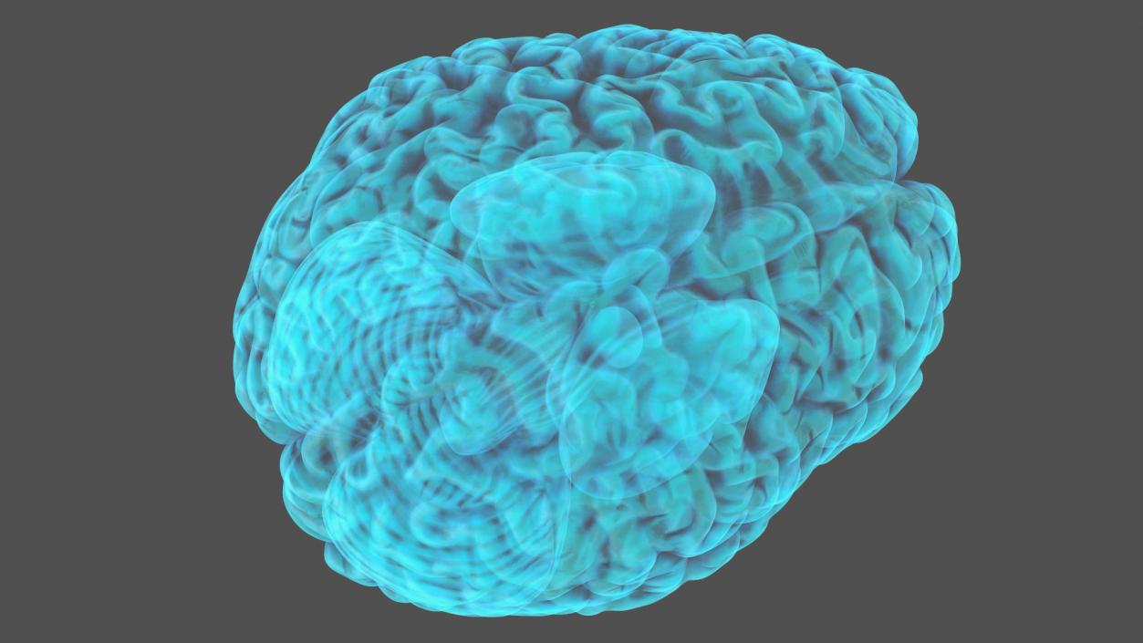 Xray Brain Hologram 3D model