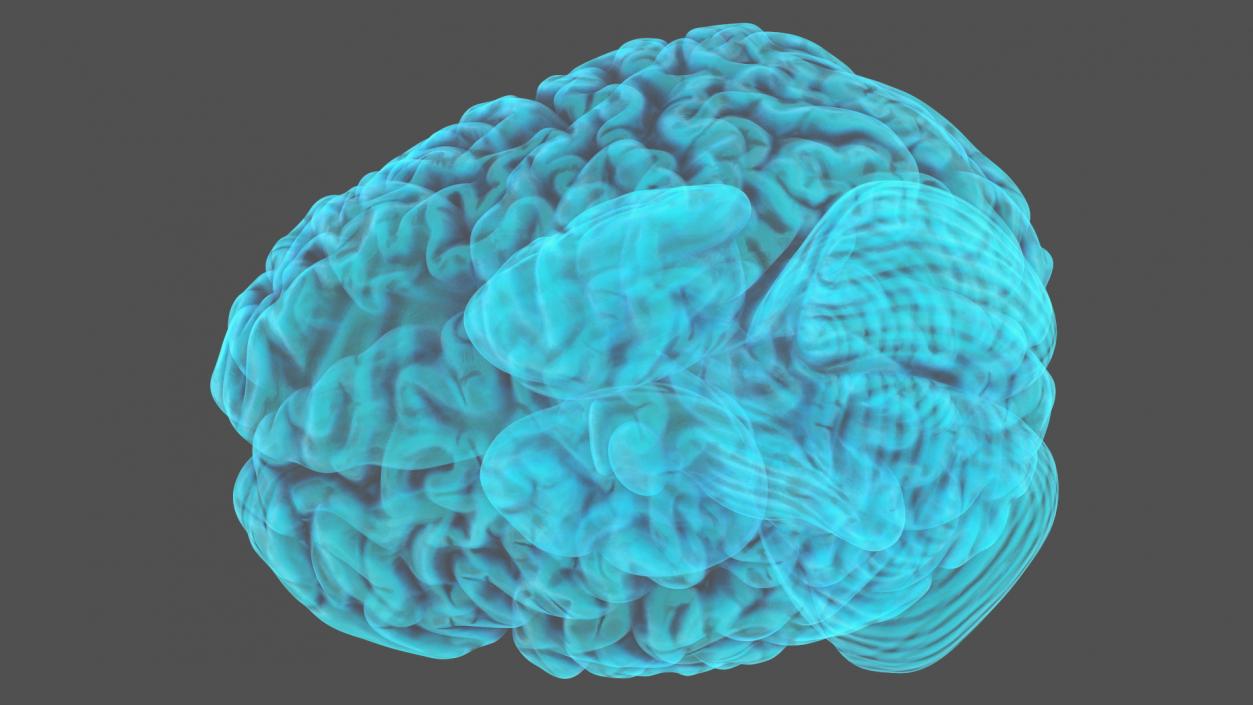 Xray Brain Hologram 3D model