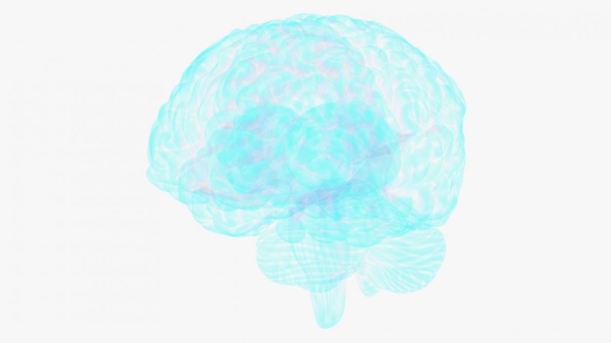 Xray Brain Hologram 3D model