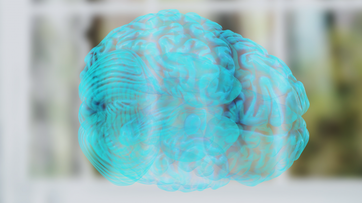 Xray Brain Hologram 3D model