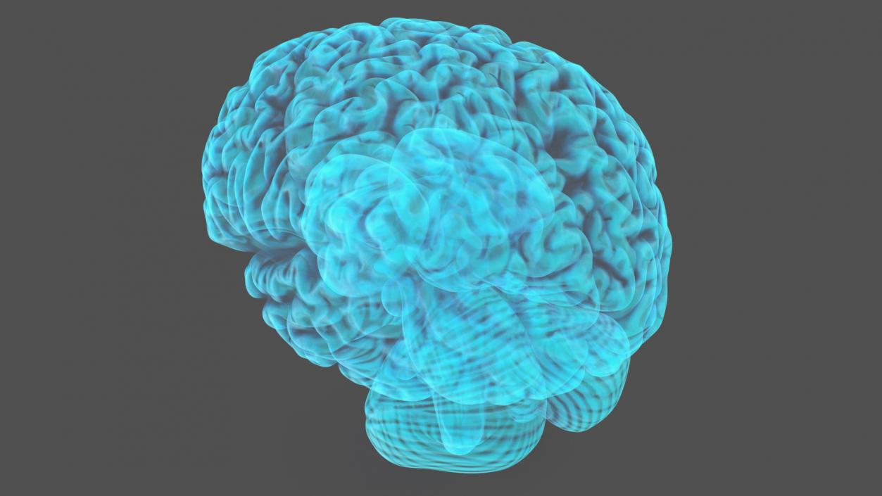 Xray Brain Hologram 3D model