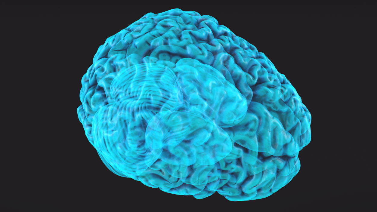 Xray Brain Hologram 3D model