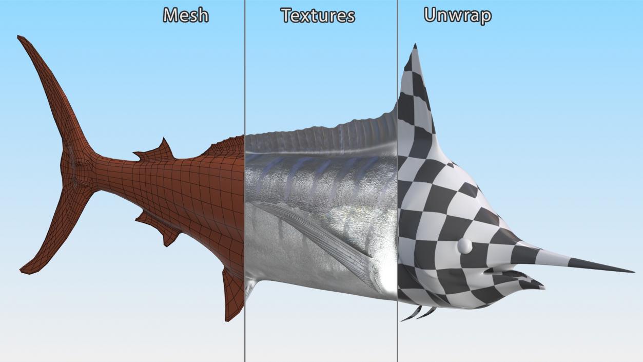 White Marlin Fish 3D