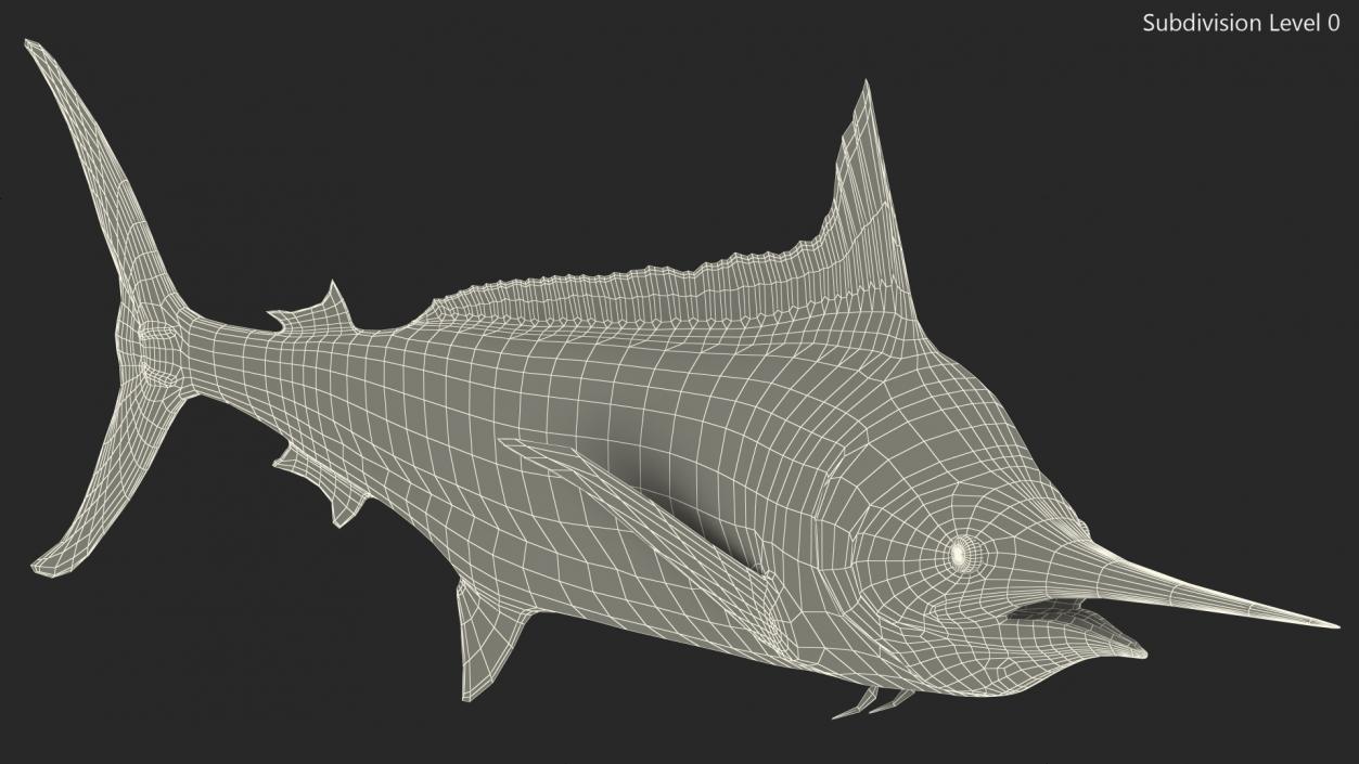 White Marlin Fish 3D