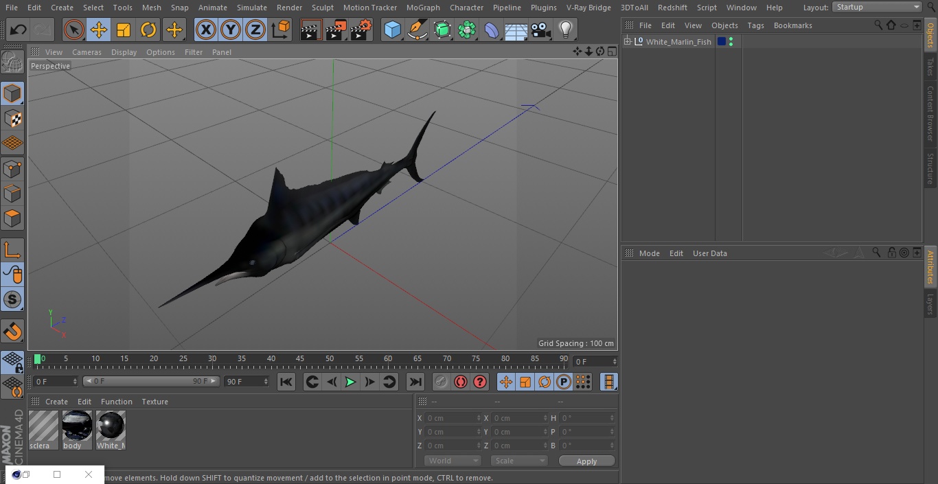 White Marlin Fish 3D