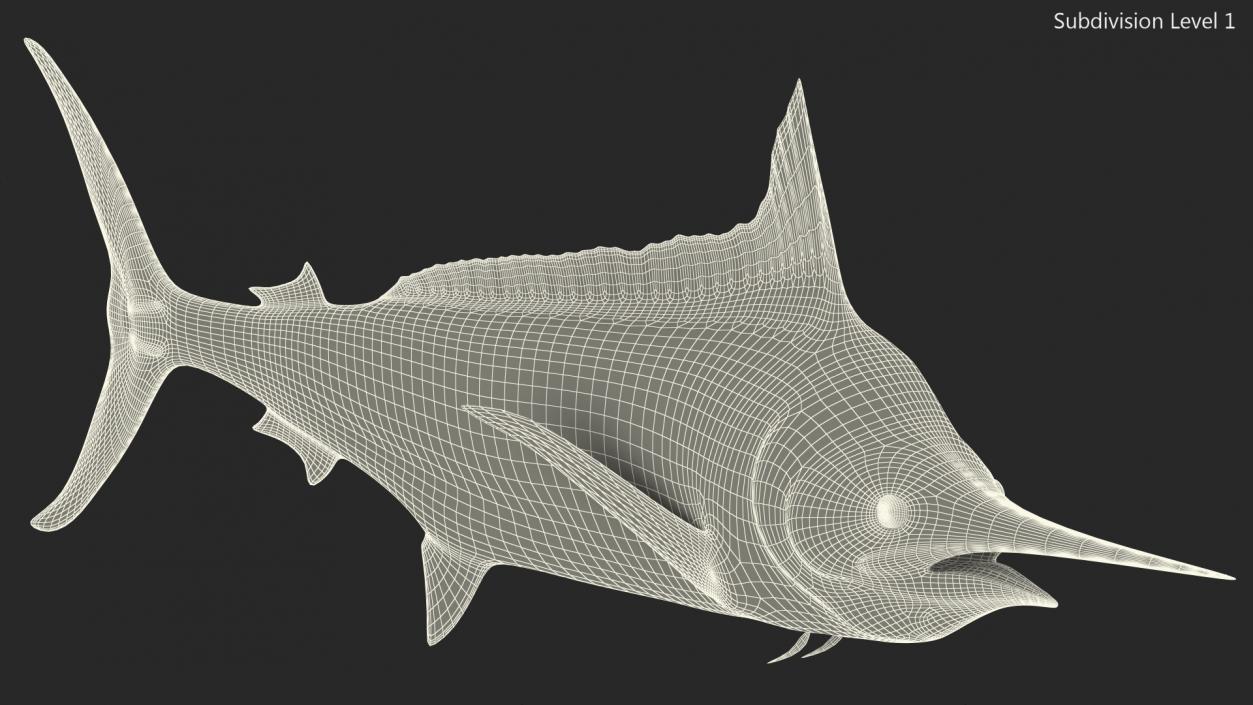 White Marlin Fish 3D