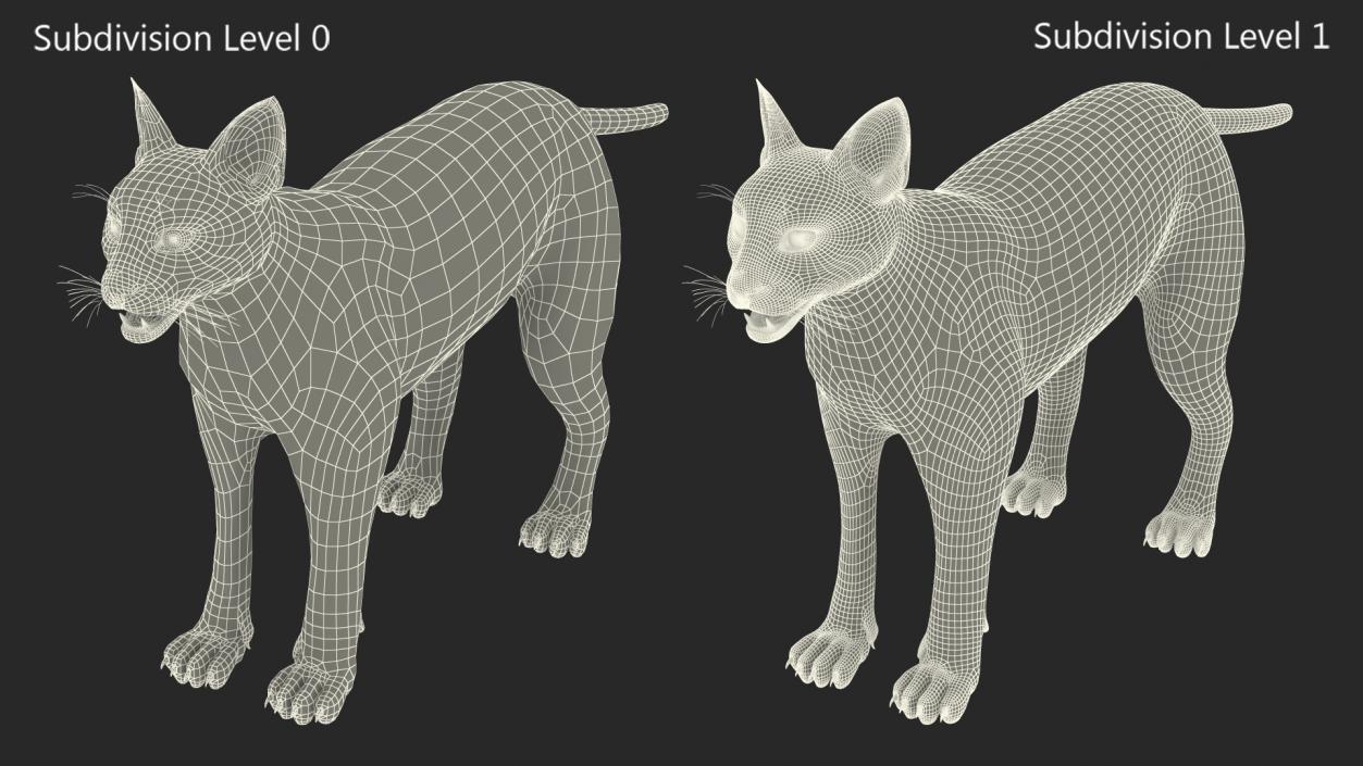 3D Caracal Fur Rigged model