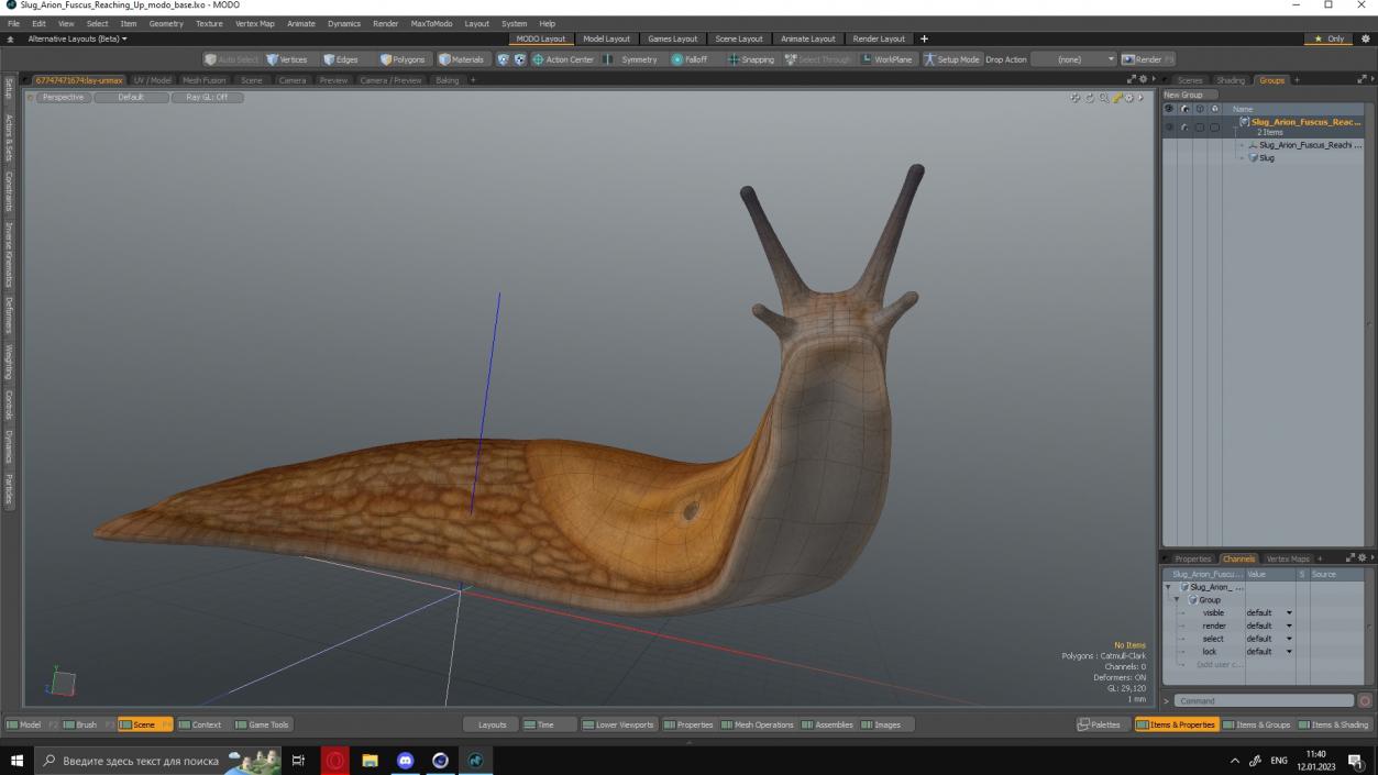 Slug Arion Fuscus Reaching Up 3D model