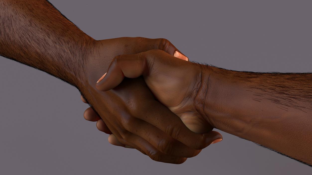 3D Handshake African Man Hands with Fur