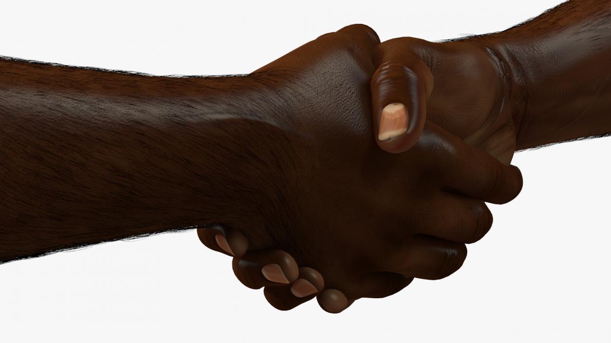 3D Handshake African Man Hands with Fur