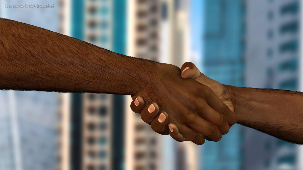 3D Handshake African Man Hands with Fur