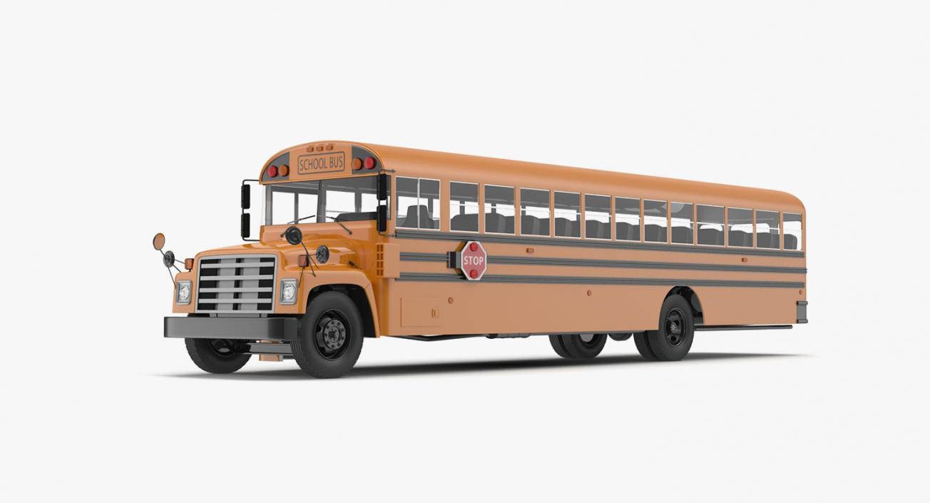 3D model School Buses Collection 2