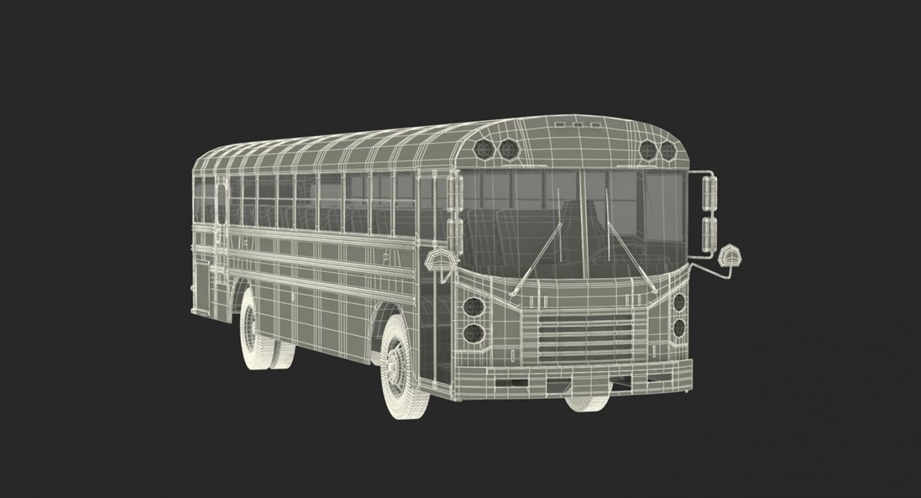 3D model School Buses Collection 2