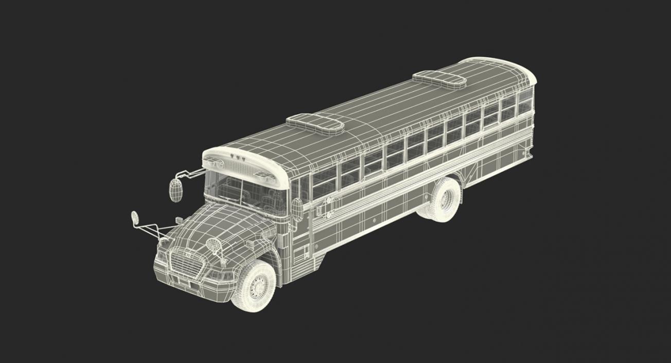 3D model School Buses Collection 2