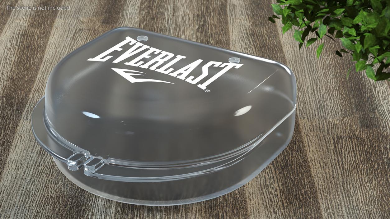 Everlast Mouthguard Case 3D model